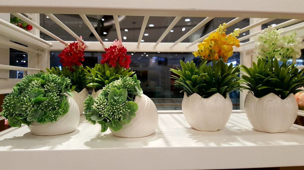Artificial flower & plants @ Kaison, Sunway velocity mall