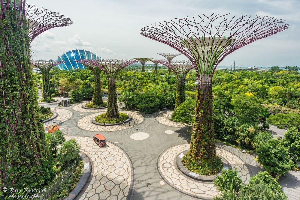 Photo caption: Gardens by the Bay in Singapore by Yury Kravchuk