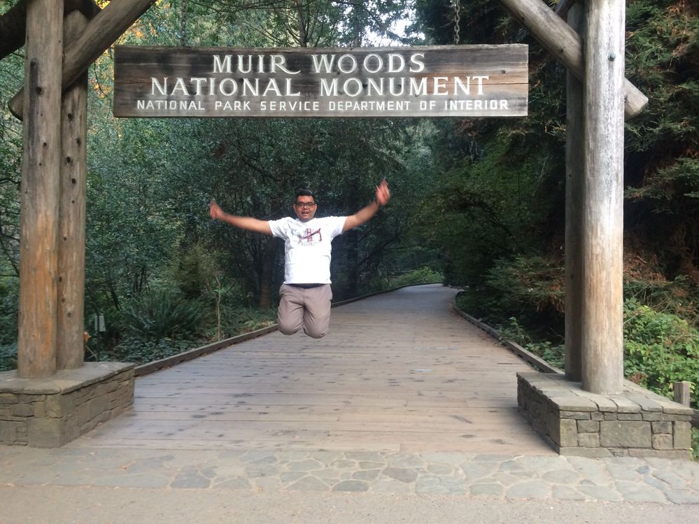 Muir Woods National Monuments, USA
