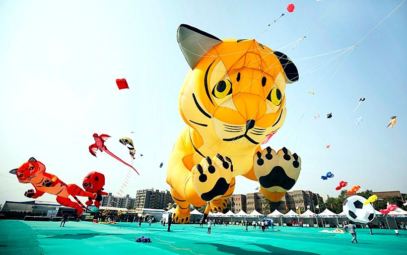 gujarat-international-kite-festival-004_820.jpg