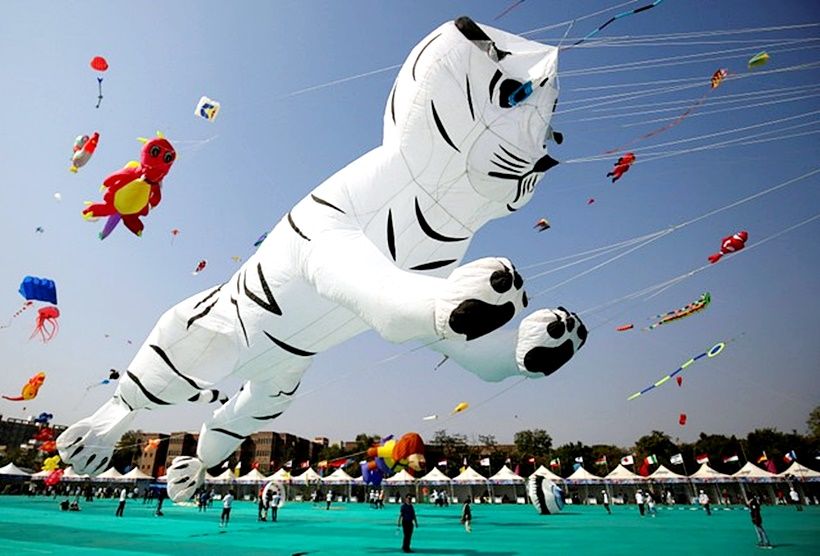 gujarat-international-kite-festival-007_820.jpg