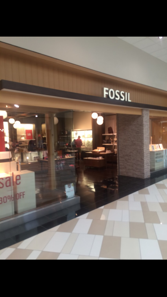 Fossil Outlet in Albany, NY