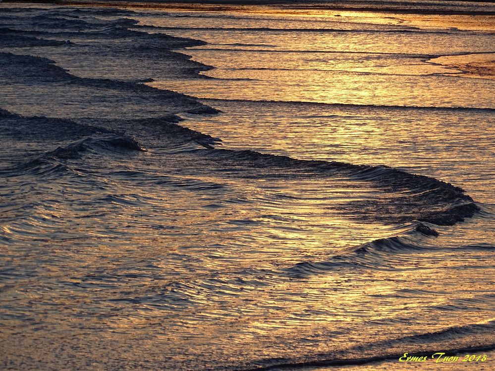 Caption: Sunset on the sea - Photo @ermest