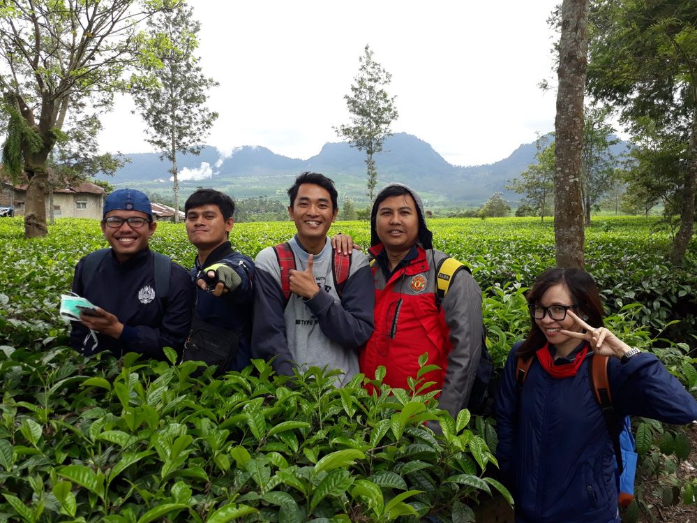 Taking picture in the tea garden