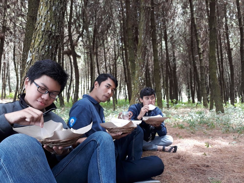 Having lunch in Pine Forest