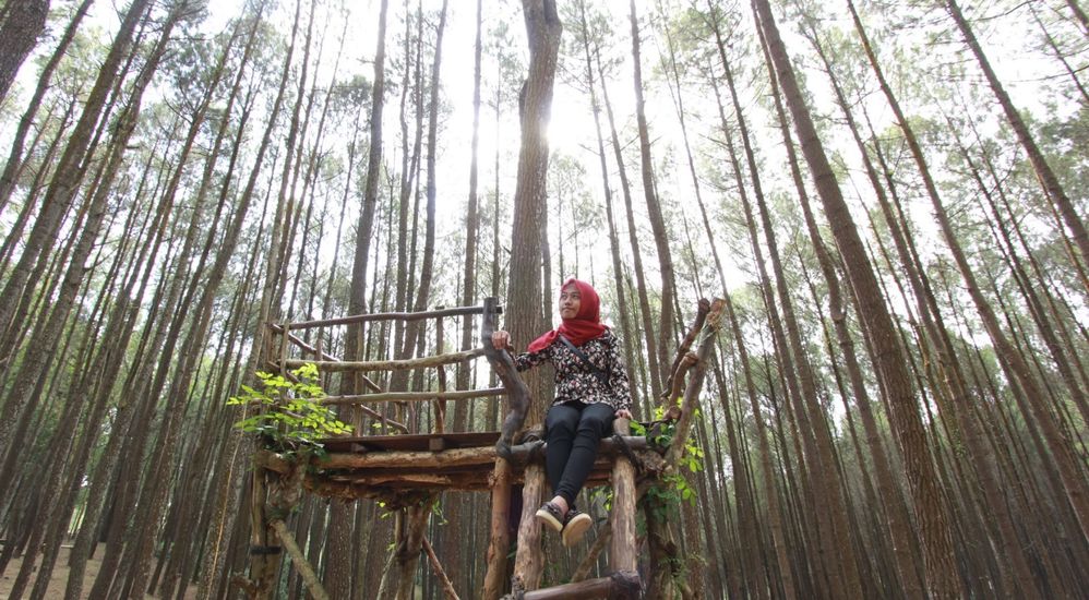 Photo on Hutan Pinus Yogyakarta