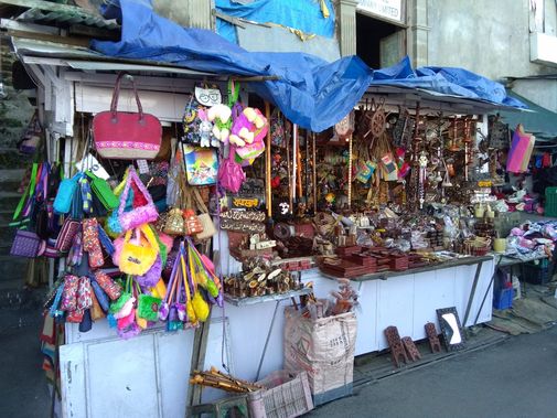 Shop in Lakkar Bazar