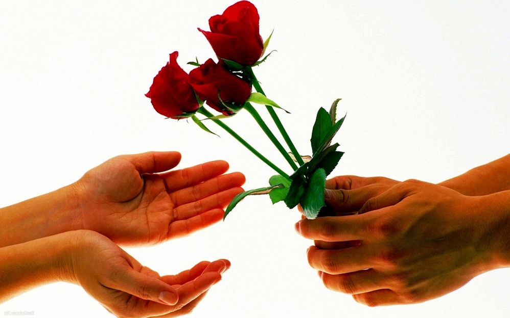 fonds-ecran-st-valentin-fleur-rose-01.jpg
