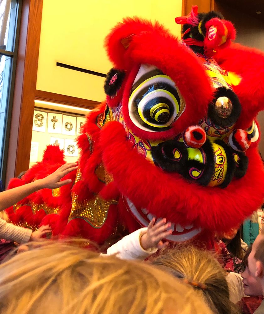 Chinese Lion Dance - part of the Lunar New Year’s Celebration