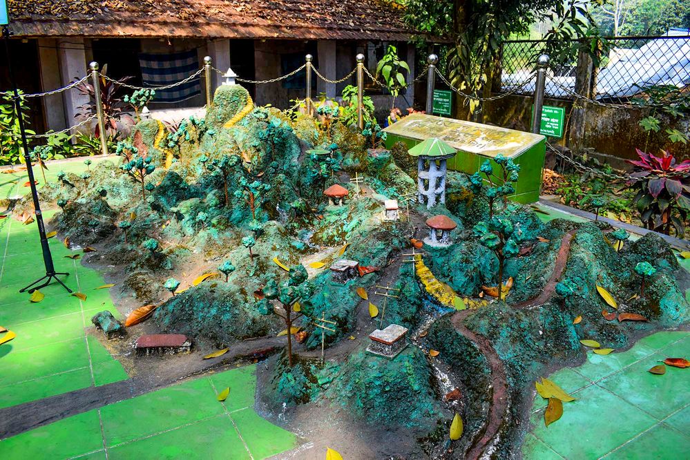 Site view of Sitakunda Botanical Garden