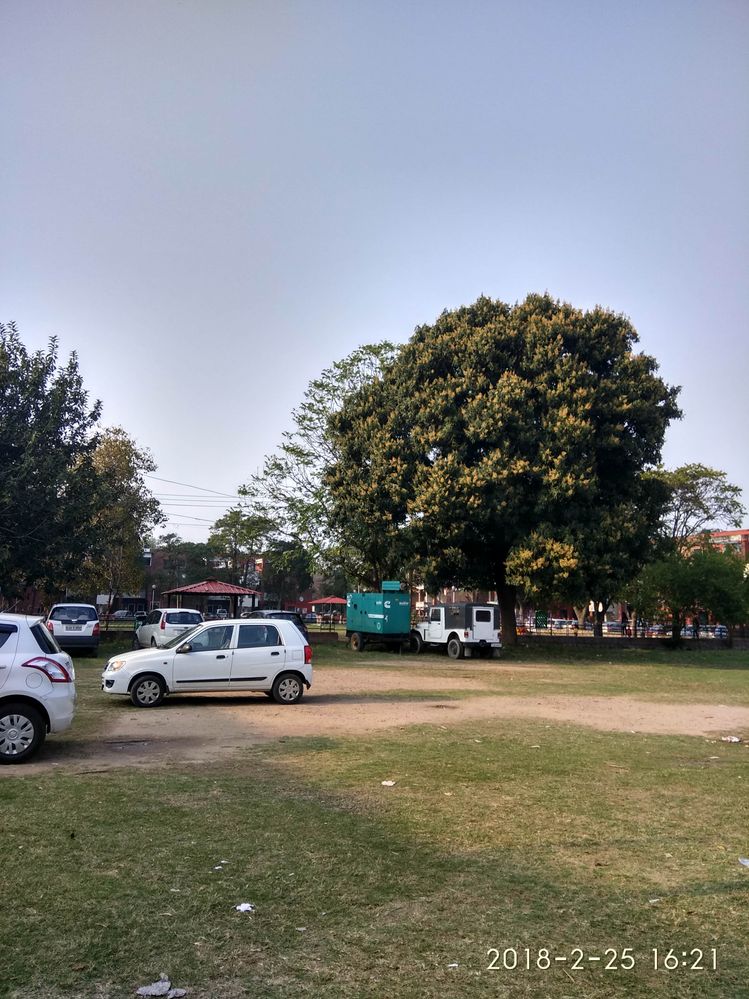 A park in Chandigarh
