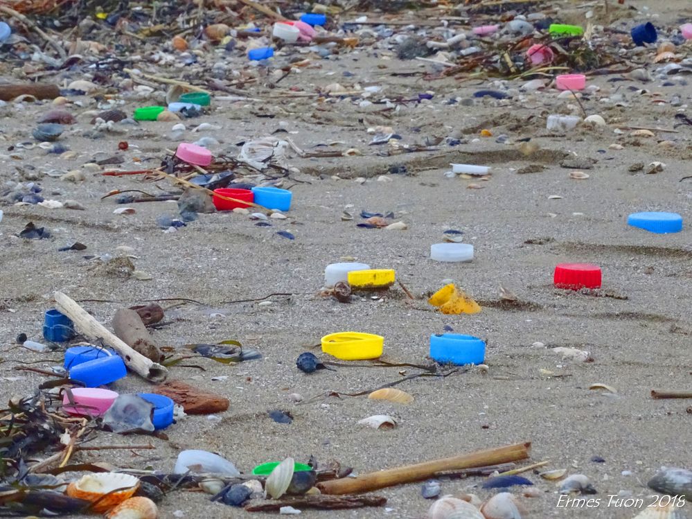 Caption: A patch of colorful plastic caps covers the beach on the morning of January 1st 2018