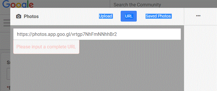 Capture URL Google photo do not work in connect.GIF