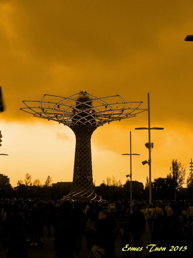 Tree of Life - Universal Expo 2015 - Milan - A message of hope