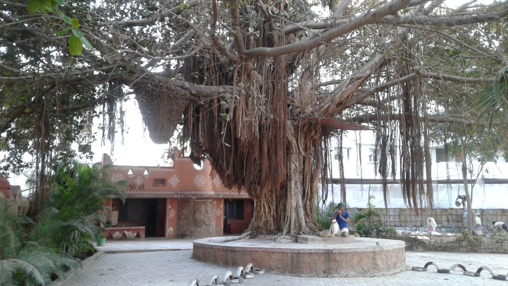 Visakhapatnam City of Destiny :India -  Grand old tree and snake charmer  at Jatara Shilparamam