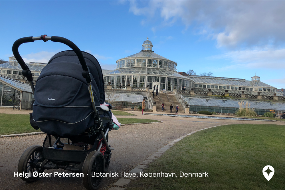 Caption: A photo by Local Guide Helgi Øster Petersen of a stroller on a path in front of a sprawling glasshouse that is part of the Natural History Museum of Denmark’s botanical garden
