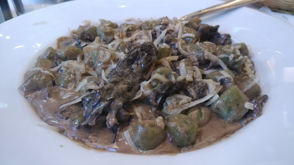 Spinach gnocci with mushrooms and cheese