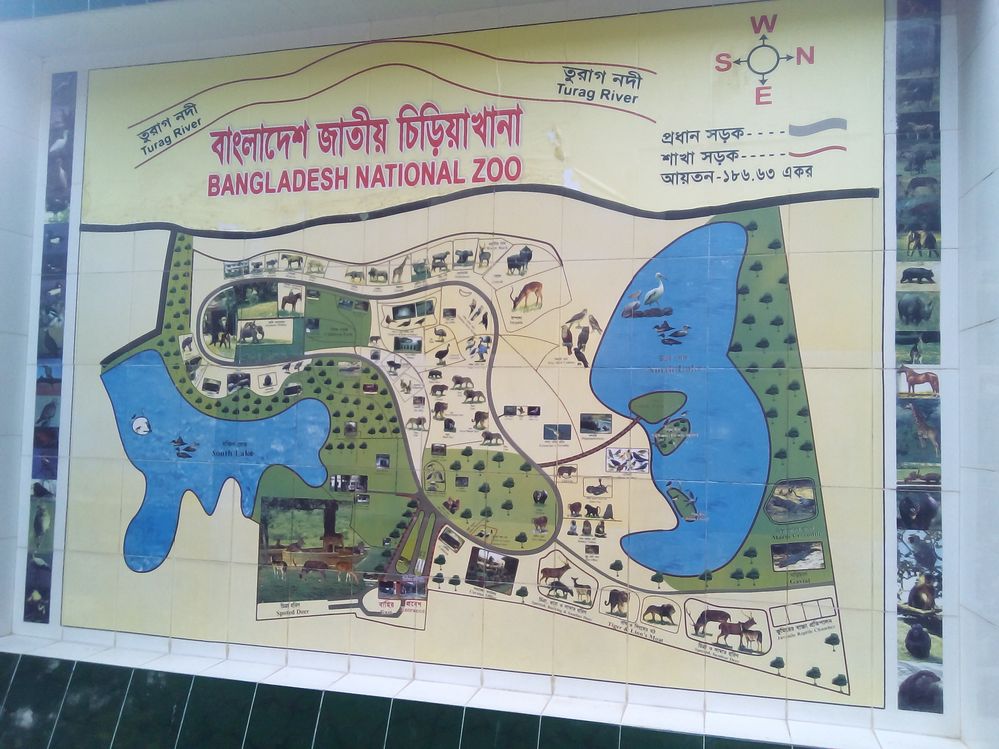 maps of national zoo