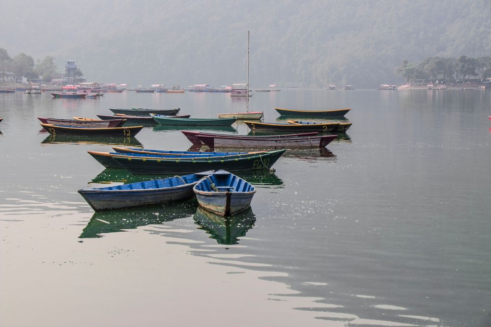 Boats in Phewa Tal
