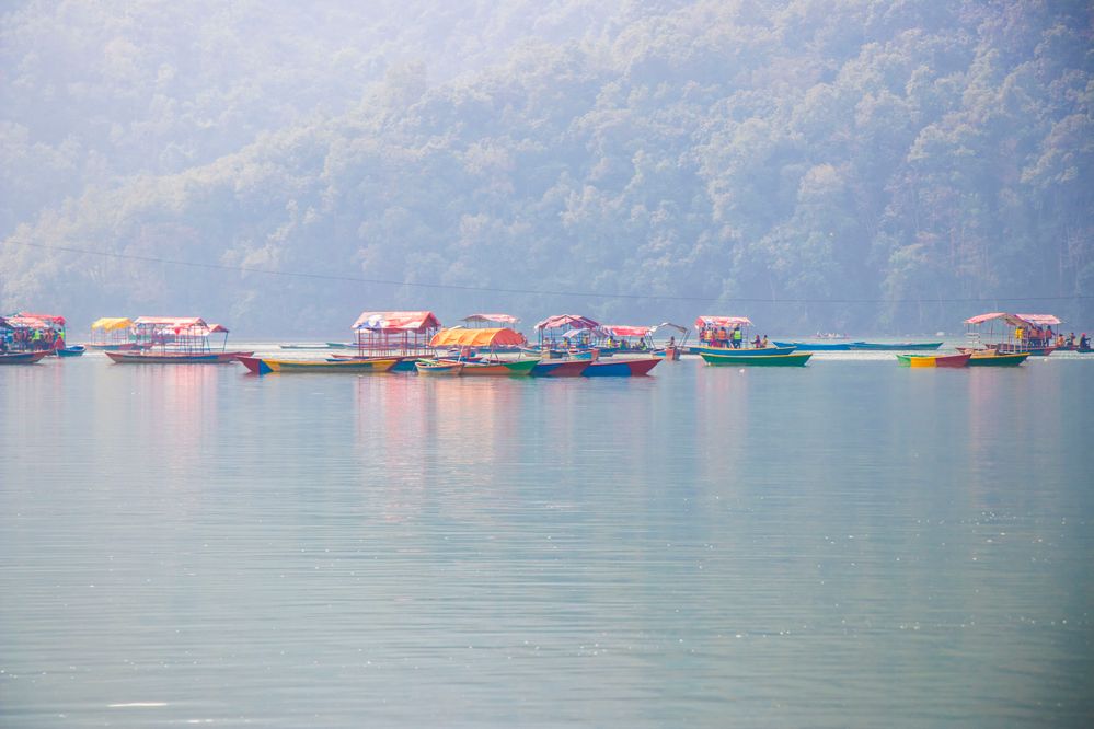 Boats in Phewa Tal