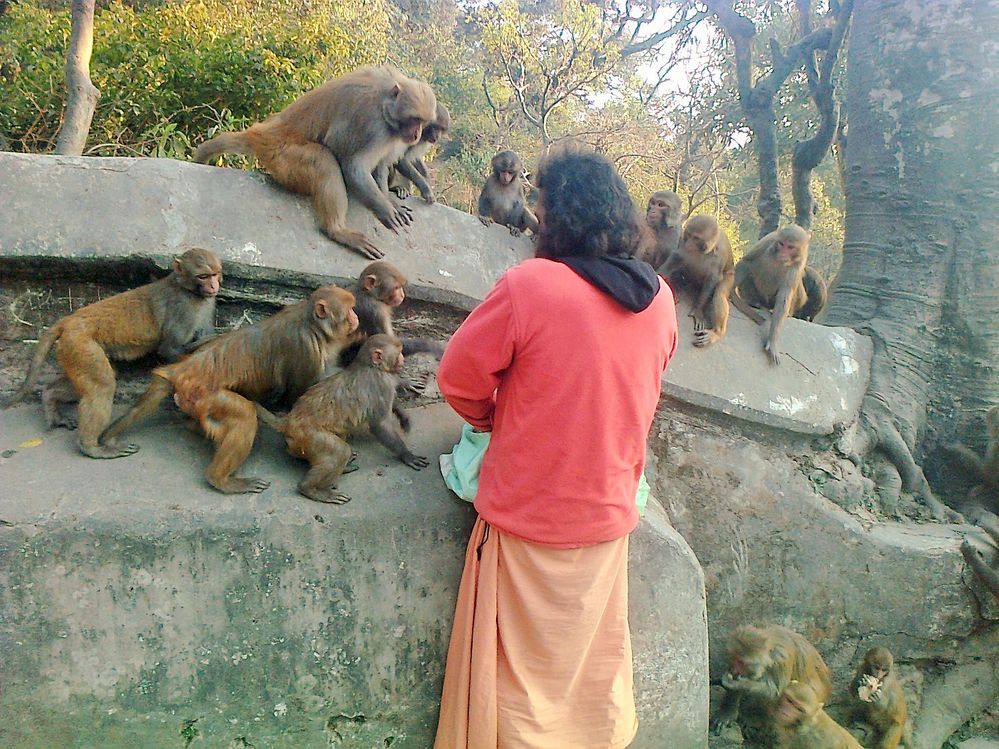 baba is feeding monkeys