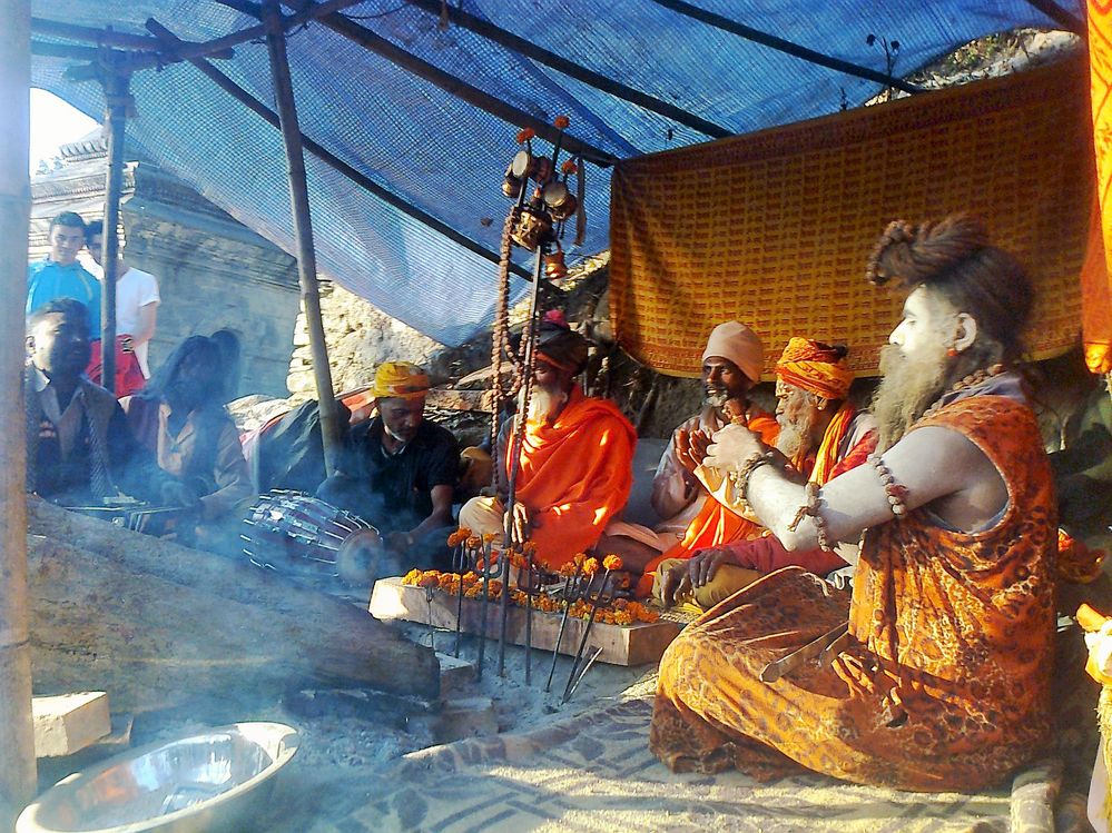 babas at shivaratri festival