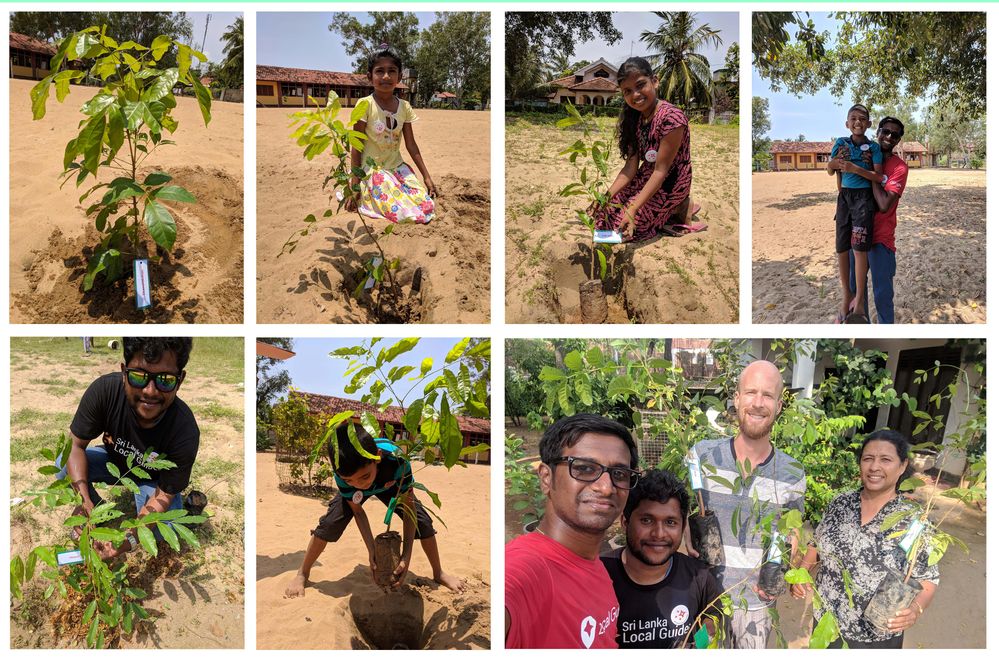 Tree Planting with school kids