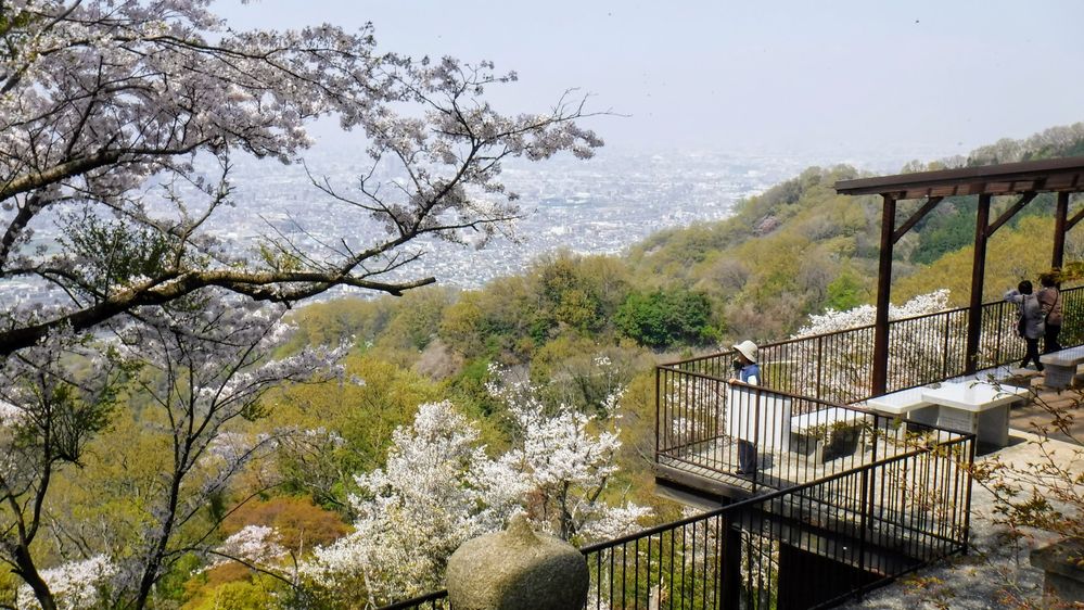 Hanami 2018　水呑地蔵尊