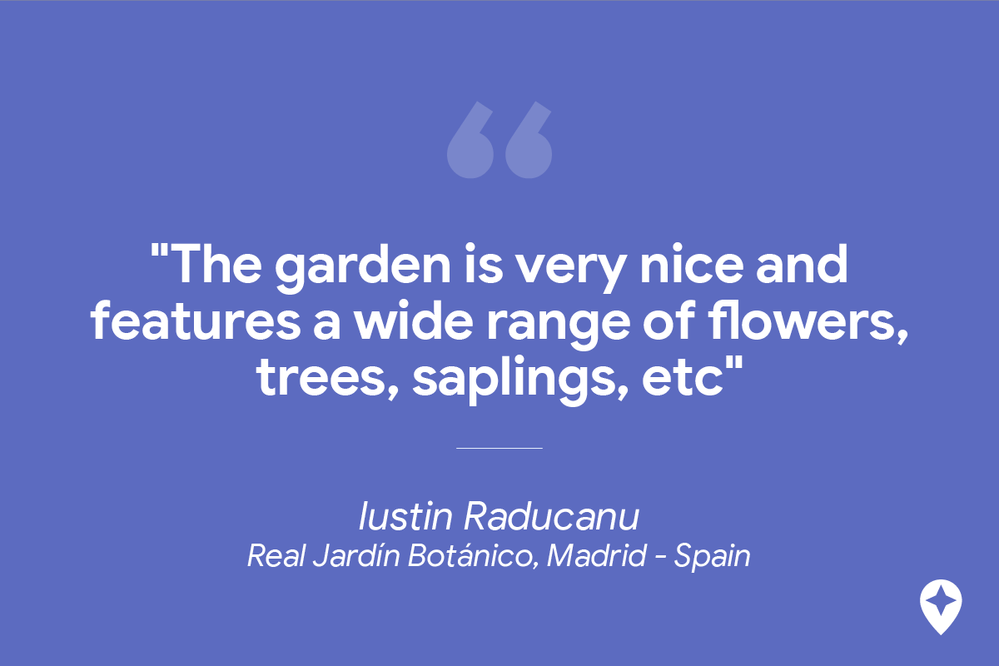 Caption: A review by Local Guide Iustin Raducanu of Madrid’s Real Jardín Botánico: “The garden is very nice and features a wide range of flowers, trees, saplings, etc”