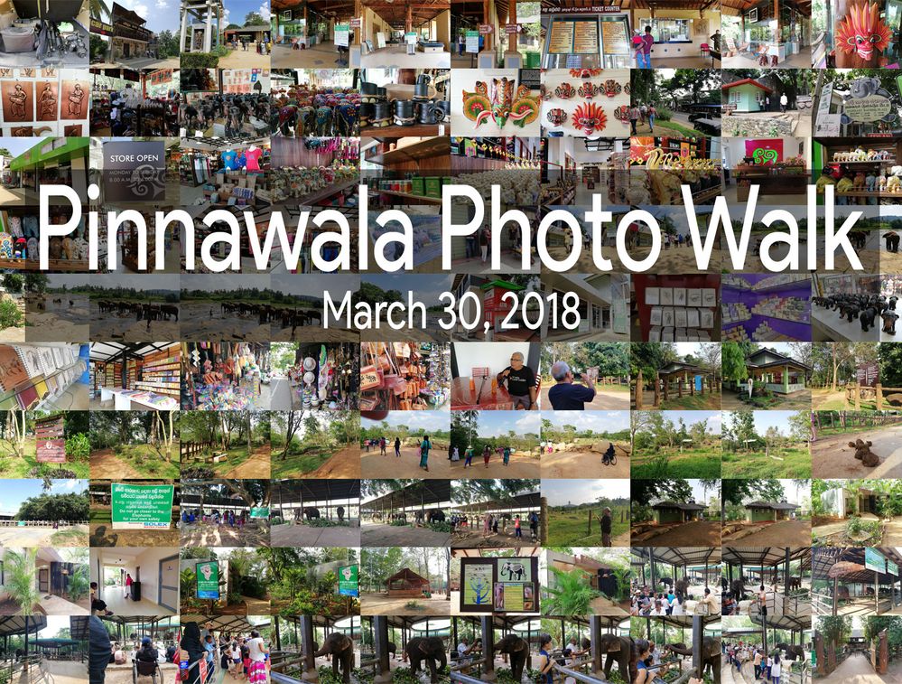 Collage of Photo Walk