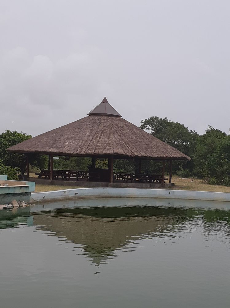 Fish pond and  picnic tent