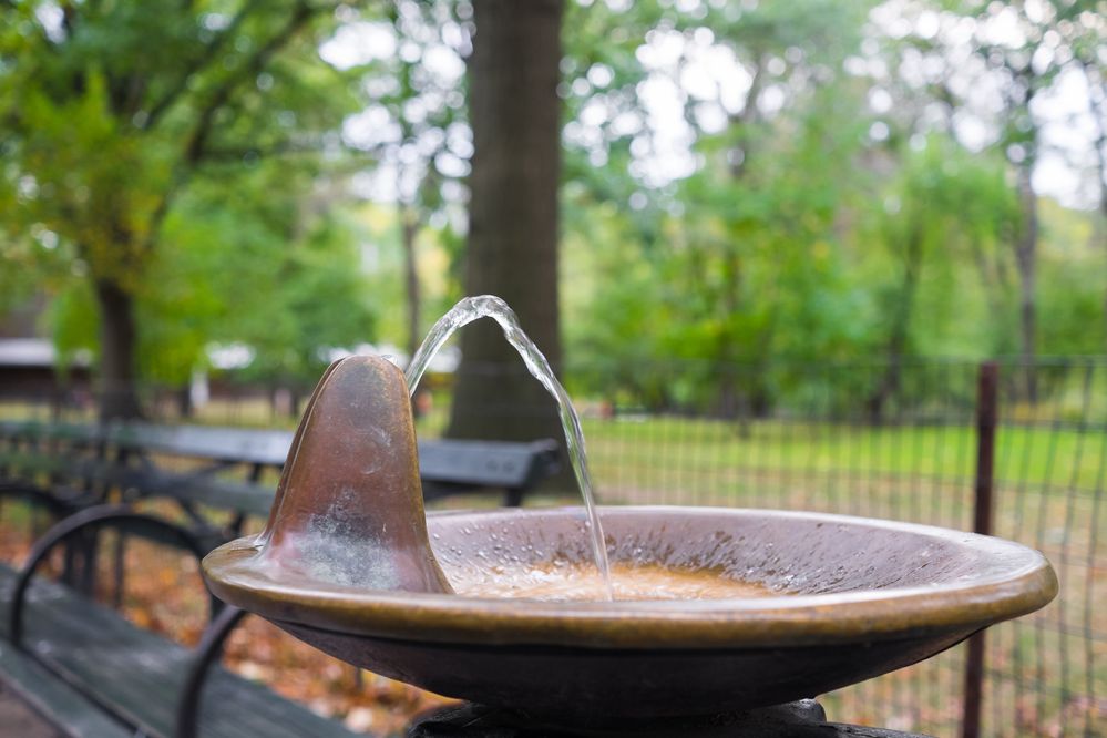 Caption: A close-up photo of a drinking fountain in Central Park. (Getty Images)