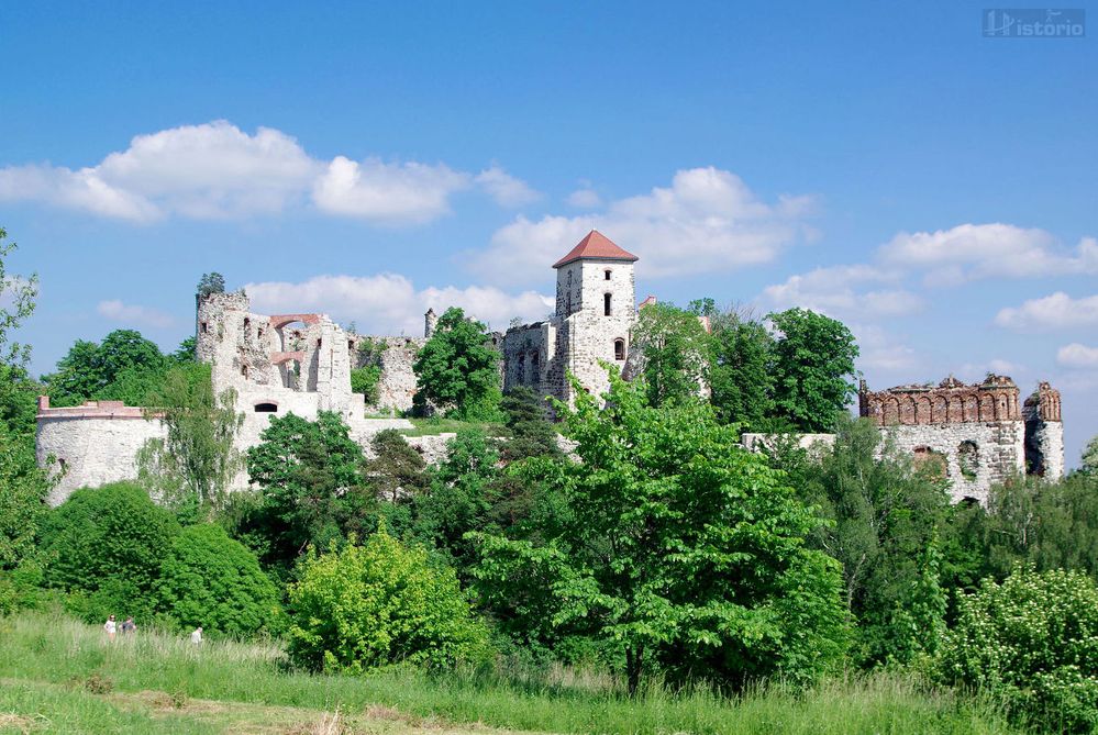 Castle "Tenczyn" in Rudno