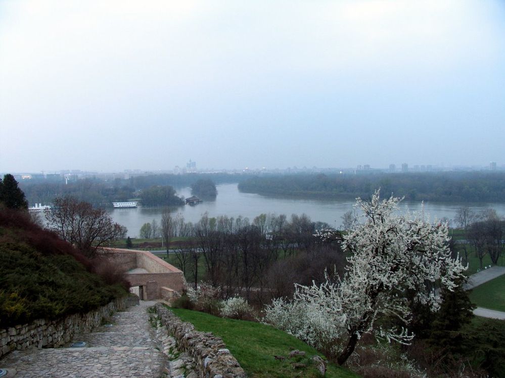The river Sava and the Danube