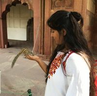 Furry Friends at Fatehpur Sikri