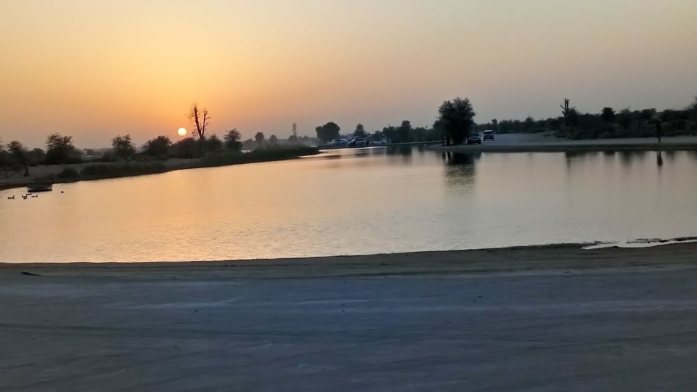 Al Qudra Lake-UAE