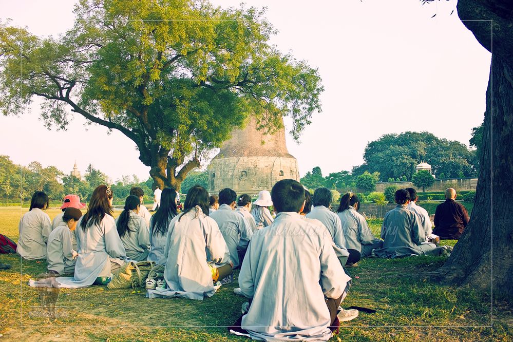 Meditation at Sarnath