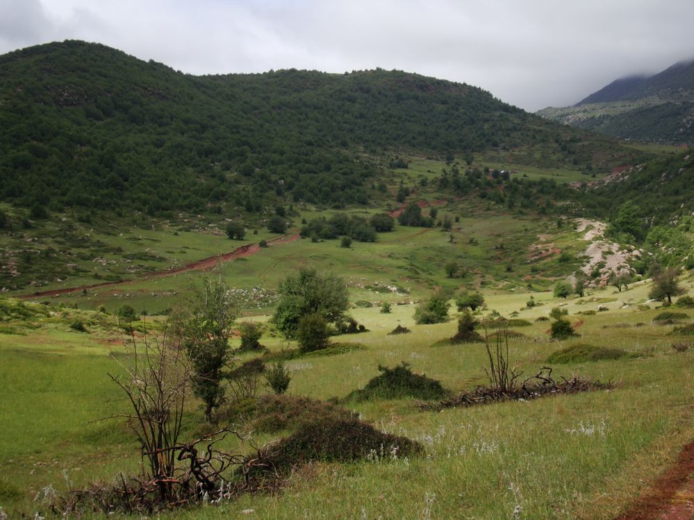 Bula protected area