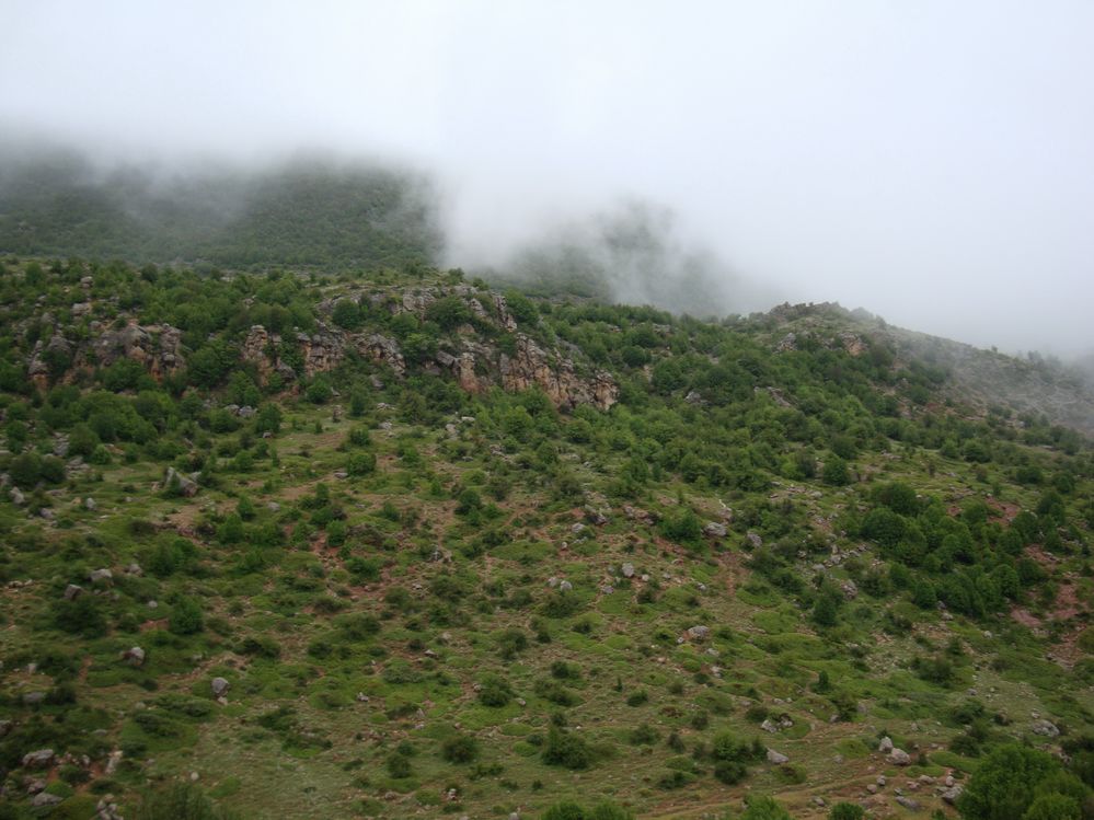 Bula protected area
