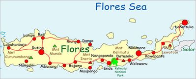 Flores Island Map