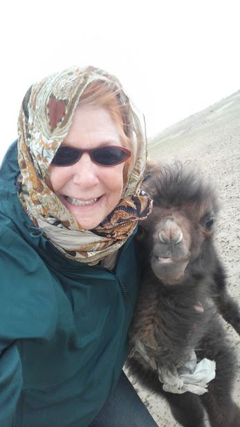 With my new friend the baby camel in Mongolia