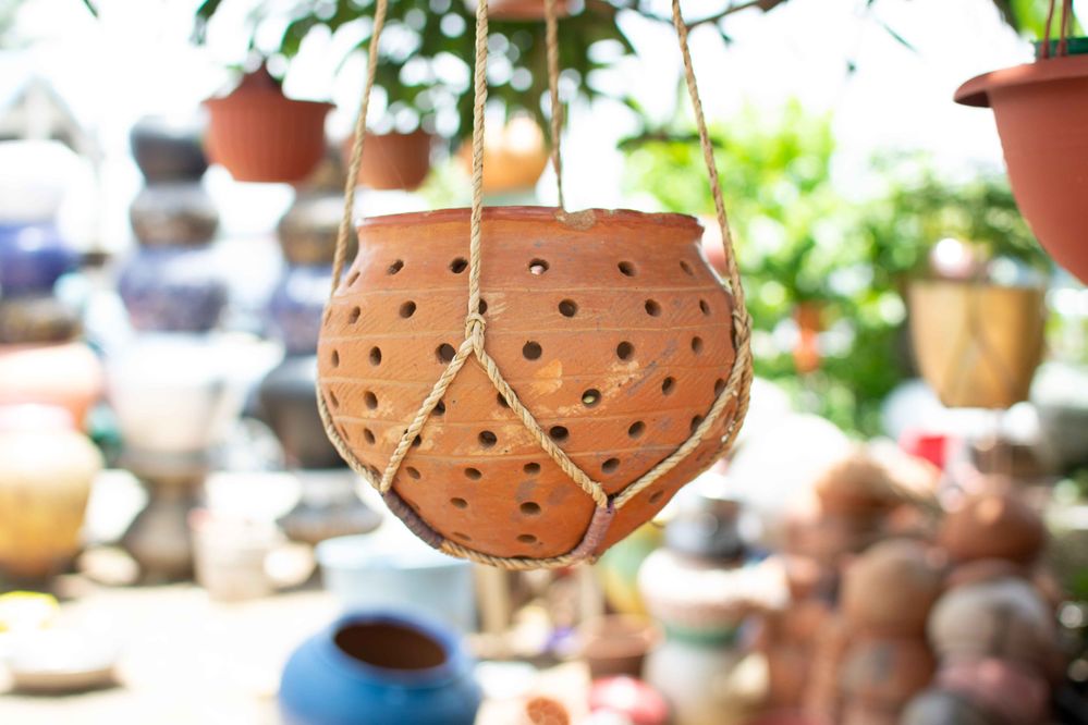 A hanging flower pot for indoor decors
