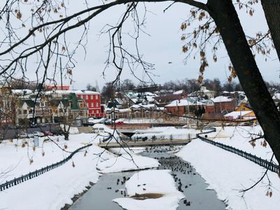 View of lake, snow, houses, a tree, a bridge and ducks in one photo