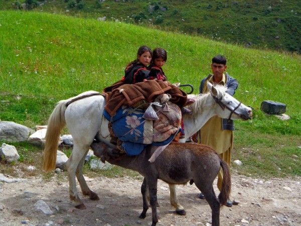 Family Of Nomads in Kashmir with Horses..!