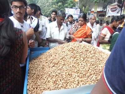Groundnut Festival Bangalore Kadalekai Parishe, the annual groundnut fair is held on the last Monday of Karthika Masa (month in Hindu calendar) near Dodda Ganesha, temple, near the Bull Temple at Basavanagudi in Bangalore
