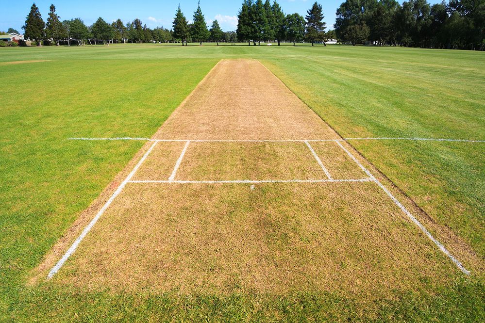 Caption: A photo of a cricket pitch. (Getty Images)
