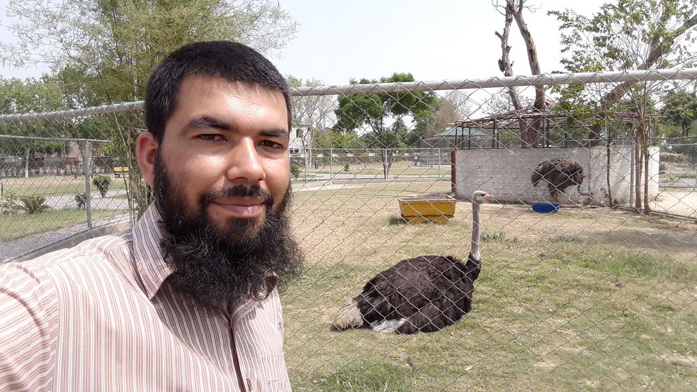 With "Ostrich" at Rachna Wild Life Park