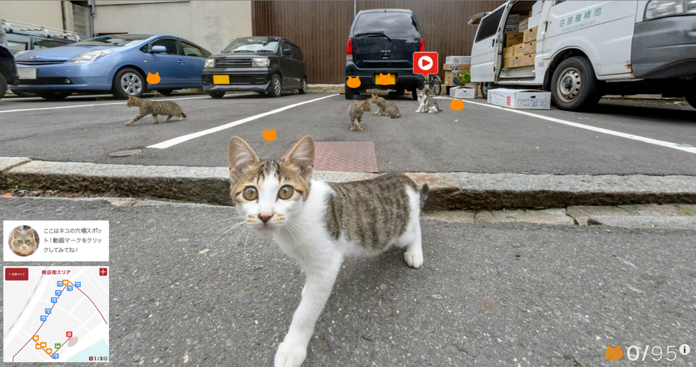 The tourism board will add more locations to the map this month, including a famous shrine area in Onomichi. Now all cats will know where it's at.