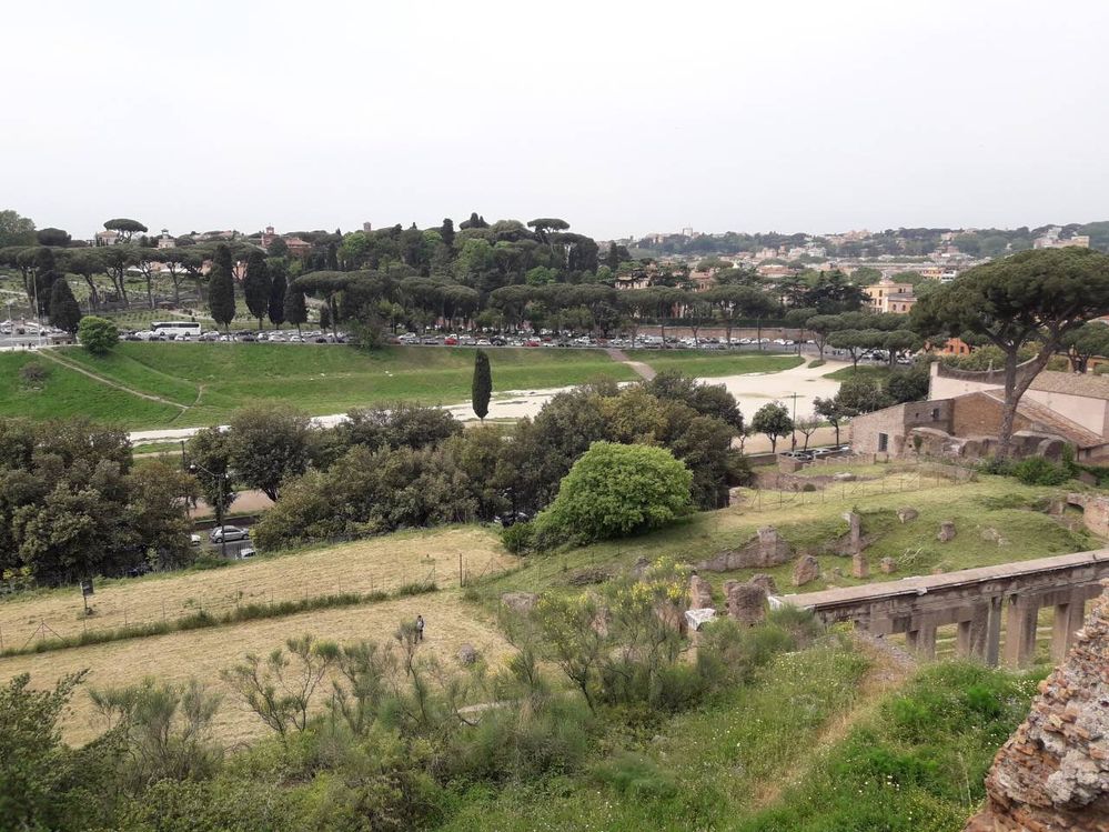 Another view from Roman Forum