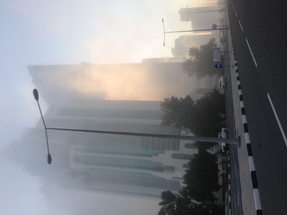 Doha fog